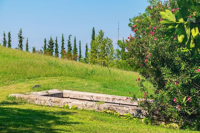 Discover Vergina and Pella: Day Trip to Macedonian Kingdom - What the guiding style is really like