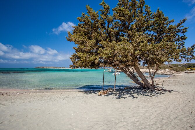 Elafonisi & Milia Mountain - Jeep Tour with Loungers and Lunch - Three hours at Elafonisi Beach