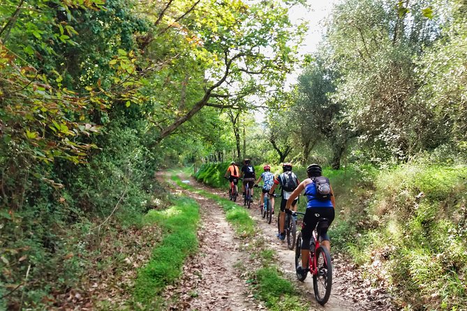 Eleftherna E-Bike and MTB Tour - Experience The Authentic Crete - From Panormos to the quiet side of Crete