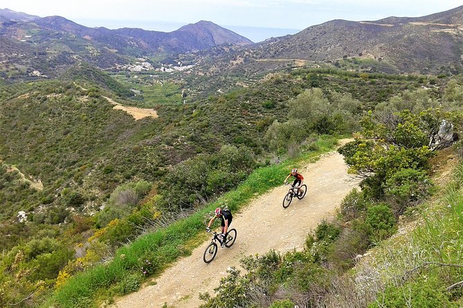 Eleftherna E-Bike and MTB Tour - Experience The Authentic Crete - The value of a local taverna stop