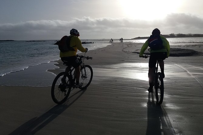 Eleftherna E-Bike and MTB Tour - Experience The Authentic Crete - Is $90.51 fair for four hours?