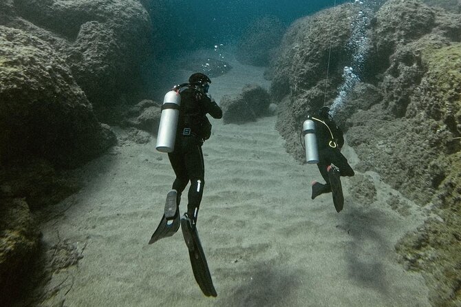 Experience Scuba Diving in Heraklion Crete - What you may see below the surface