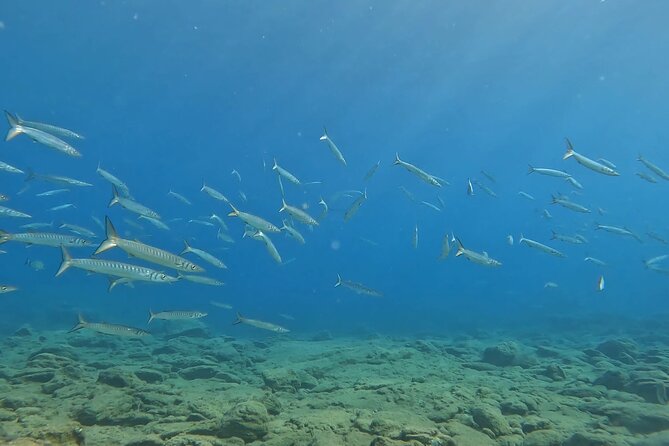 Experience Scuba Diving in Heraklion Crete - Who should book this experience?