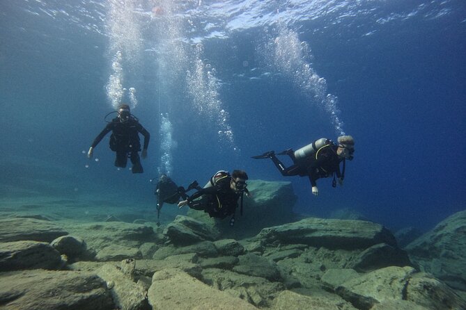 Experience Scuba Diving in Heraklion Crete - Practical details worth knowing before you go