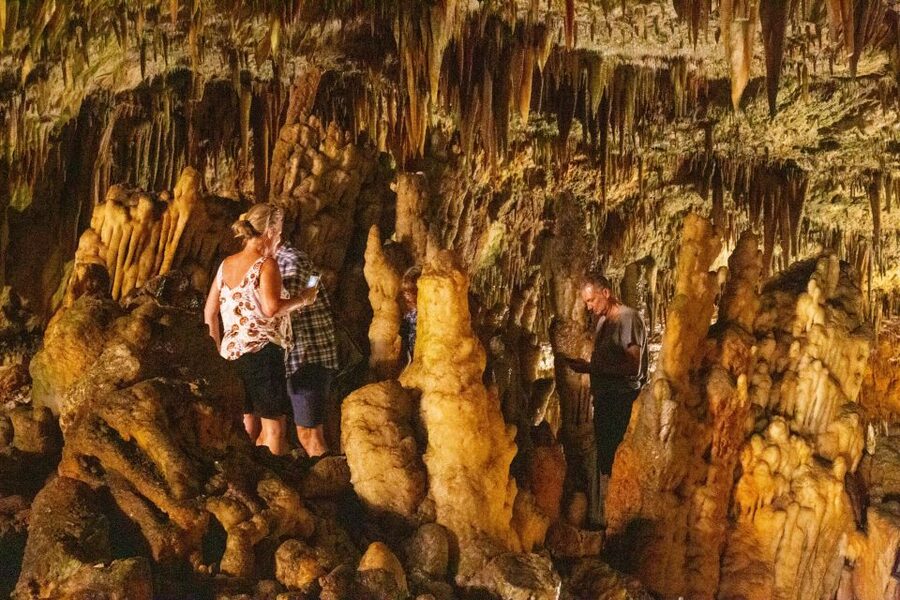 From Argostoli: Melissani Lake & Drogarati Caves Tour - Why Melissani Lake earns the top billing