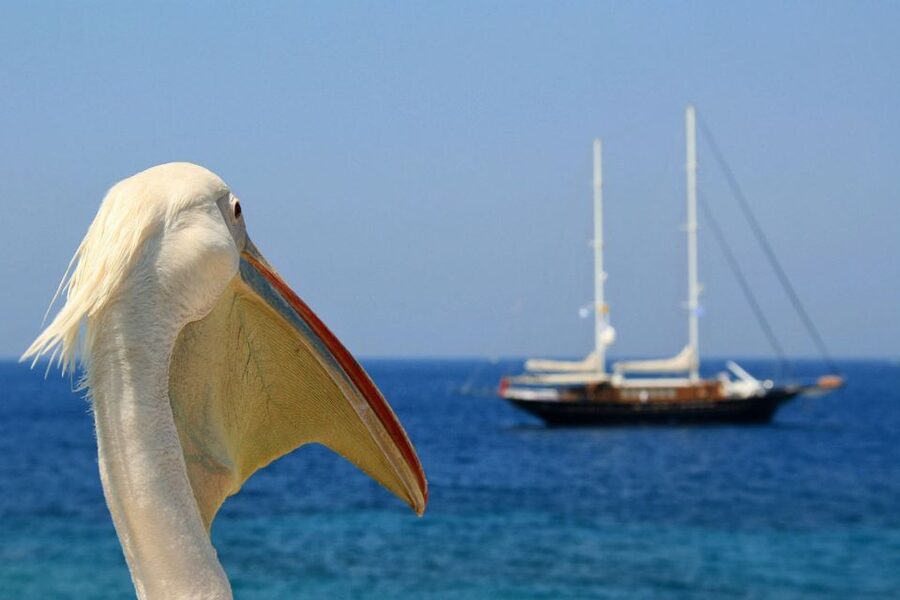From Athens: 2-Day Santorini and Mykonos Trip - Key points to know before booking