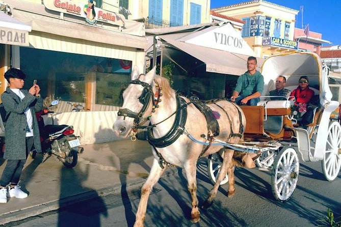 From Athens: Aegina Island guided tour in a day - Two hours at the beach