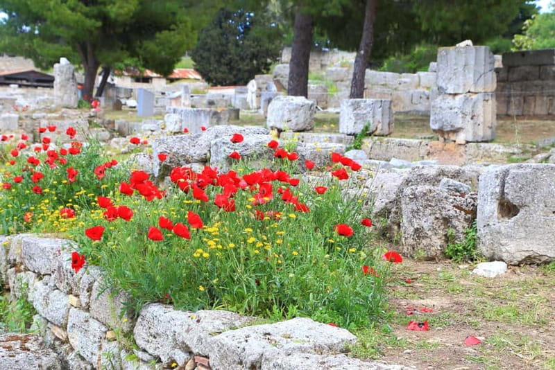 From Athens: Explore Ancient Corinth & Charming Nafplion - Corinth for Visitors Interested in Saint Paul