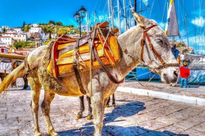 Hydra, Poros, and Aegina Day Cruise with Lunch