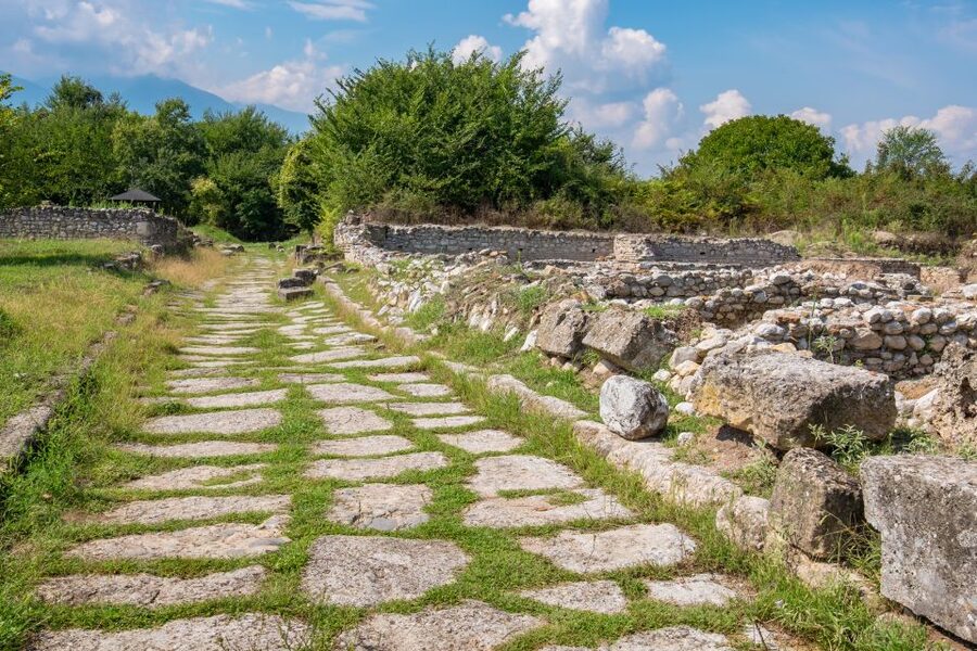From Athens: Mt. Olympus National Park Guided Day Tour - Litochoro and a taste of local life