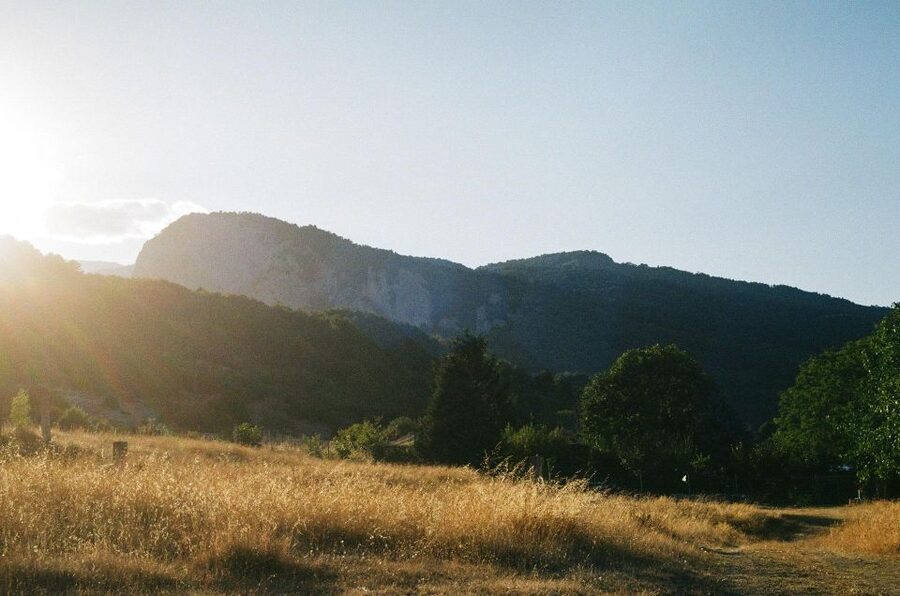 From Athens: Mt. Olympus National Park Guided Day Tour - Does $169 offer good value?