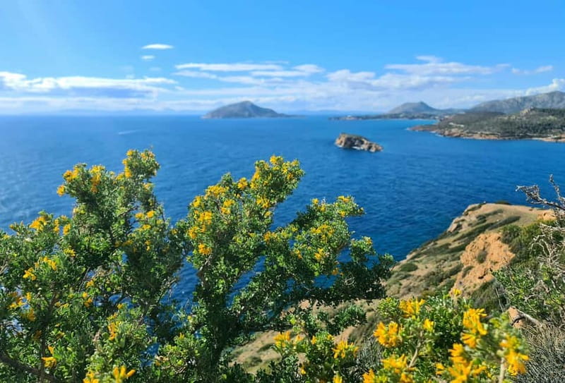 From Athens: Temple of Poseidon & Cape Sounion Half-Day Tour - Why Cape Sounion makes a good half-day from Athens