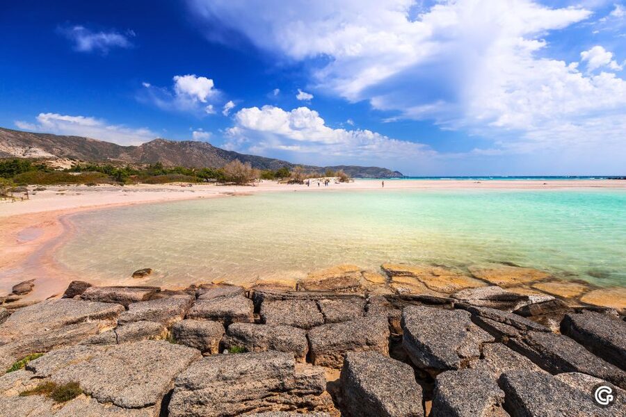 From Chania: Day Trip to Elafonisi Island Pink Sand Beach - Lunch in Elos and the ride home