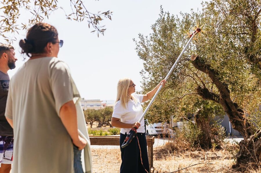 From Chania: Elafonisi and Falasarna Guided Tour with Snacks - Who should book this beach tour?