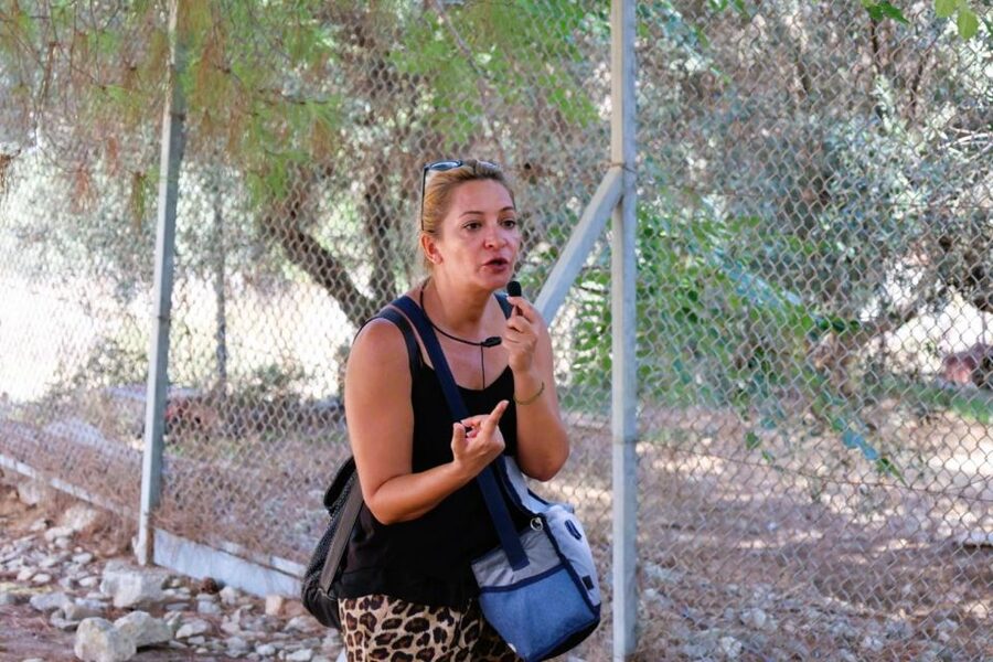 From Chania: Full-Day Heraklion Highlights Guided Tour - Practical advice for a smoother day