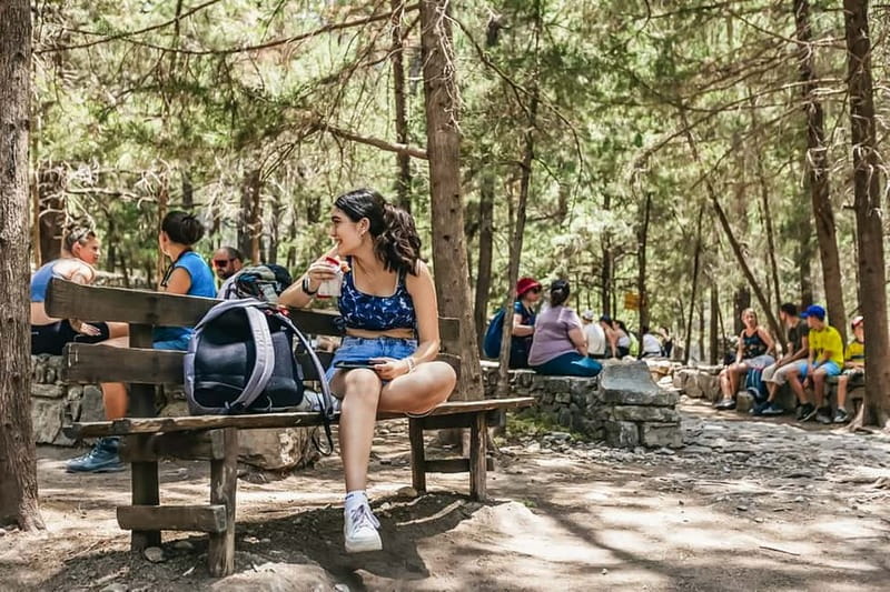 From Chania: Full-Day Samaria Gorge Trek Excursion & Guide - Forest, springs, goats, and serious stone paths