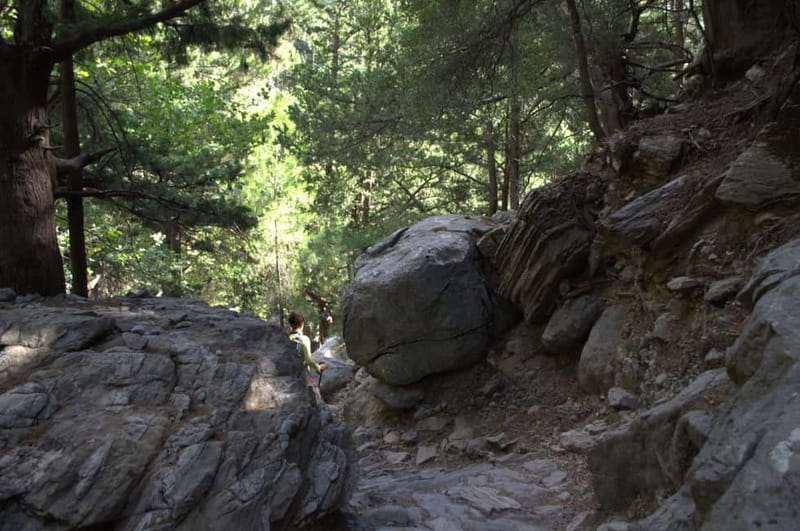 From Chania/Kalyves: Full-Day Samaria Gorge Hiking Day Trip - Booking Details and Practical Notes