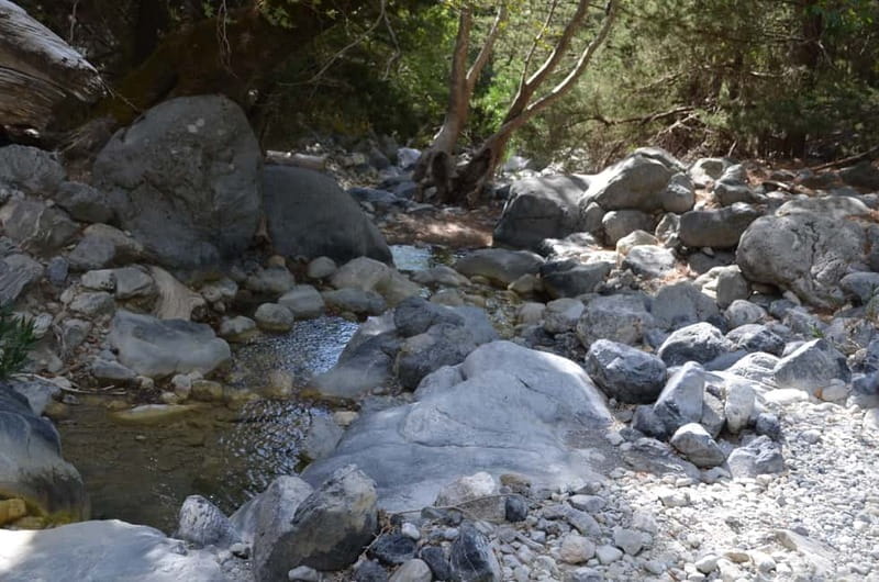 From Chania/Kalyves: Full-Day Samaria Gorge Hiking Day Trip - What the 5.5-Hour Gorge Walk Feels Like