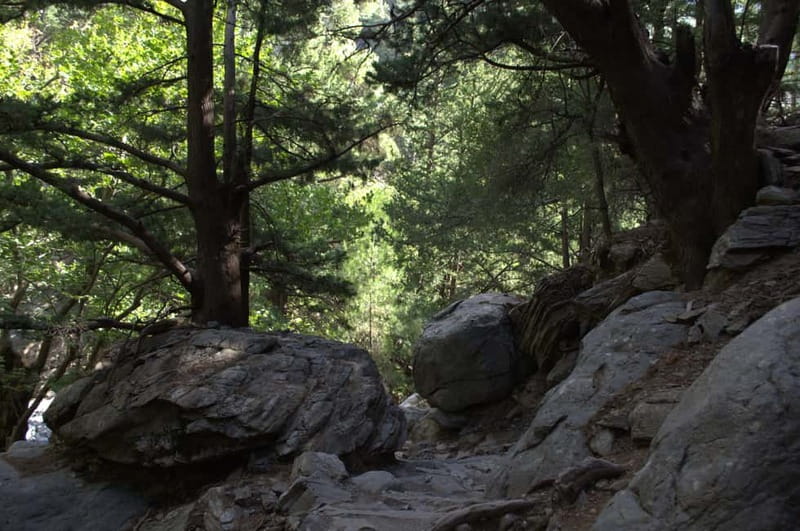 From Chania/Kalyves: Full-Day Samaria Gorge Hiking Day Trip - Price, Extra Costs, and Overall Value
