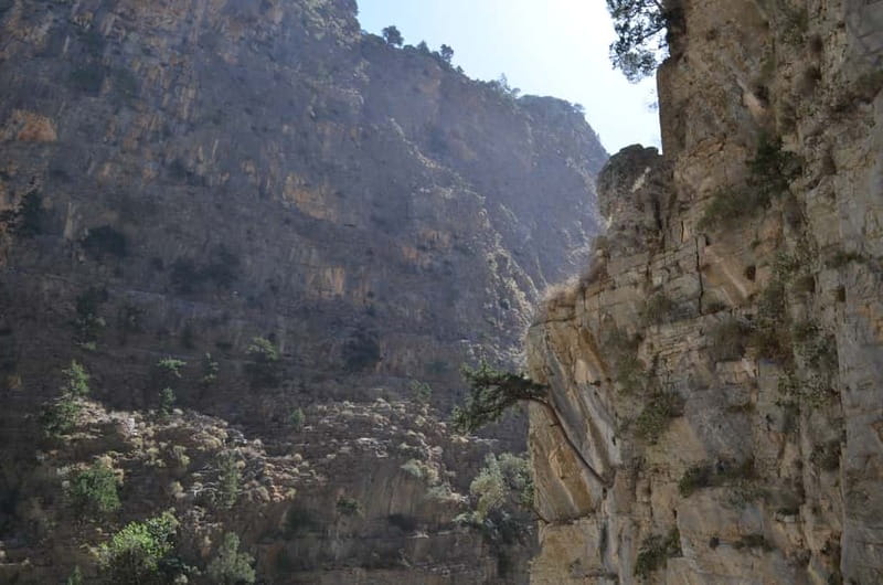From Chania/Kalyves: Full-Day Samaria Gorge Hiking Day Trip - The Early Pickup and Drive to Omalos
