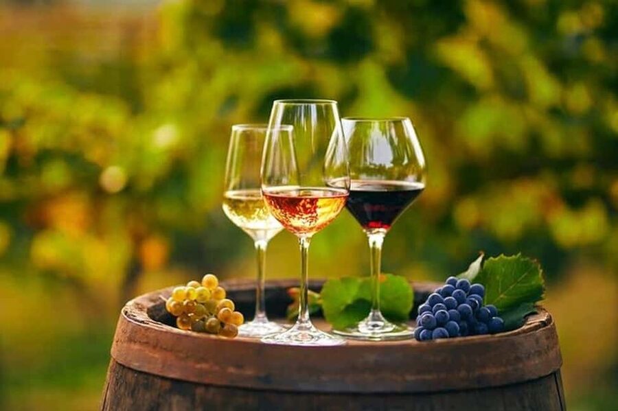 From Chania: Olive Oil, Wine, Cheese & Honey Tasting Tour - Key points at a glance