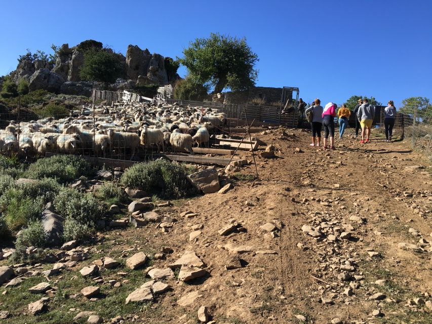 From Chania: White Mountains Land Rover Safari - Should you book the White Mountains Land Rover safari?