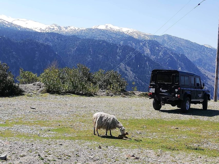 From Chania: White Mountains Land Rover Safari - Reaching the shepherd’s mitato