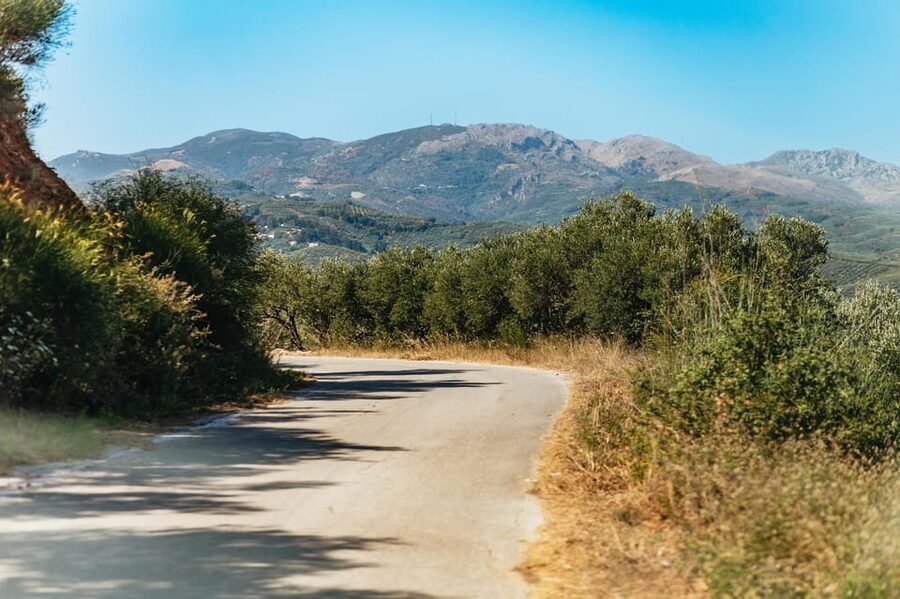 From Chania: Wine and Olive Oil Tasting Tour with Snacks - What the wine list tells you about Crete