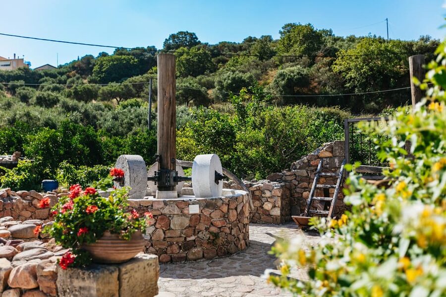 From Chania: Wine and Olive Oil Tasting Tour with Snacks - Guides, groups, and the feel of the day