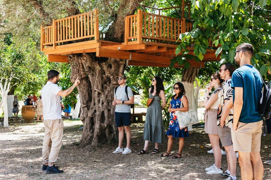 From Chania: Wine and Olive Oil Tasting Tour with Snacks - The first winery and Crete’s changing wine tradition