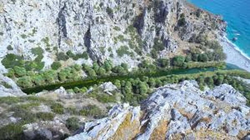 From Herakleion: Day Trip to Preveli Beach and Kourtaliotiko - Walking through the Theophrastus palm forest