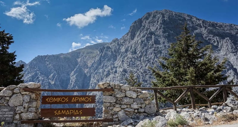 From Heraklion,Agia Pelagia,Malia: Samaria Gorge Guided Trip - The rock walls and the long middle section