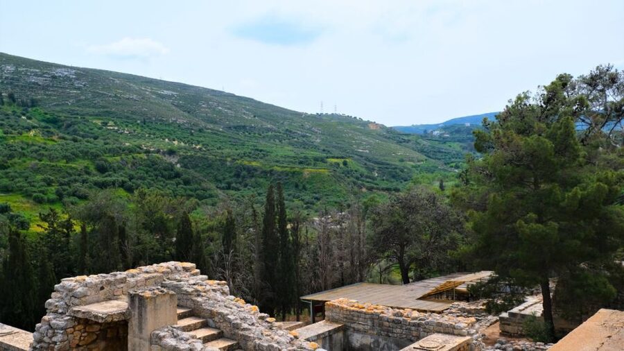From Heraklion: Historical Center City Tour & Knossos Palace - How the timing works in practice