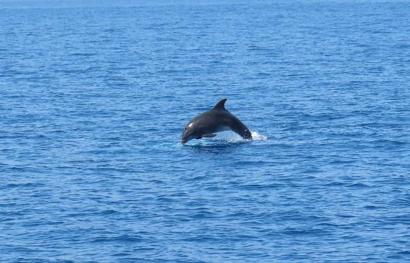 From Kos:A full day cruise in the newest luxury vessel! - The fourth stop and the flexible part of the day