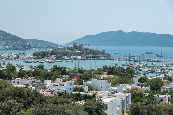 From Kos: Independent Day Trip to Bodrum - Key points before you book