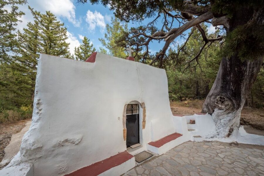 From Kos: Zia Sunset Tour - What the three-hour outing actually feels like