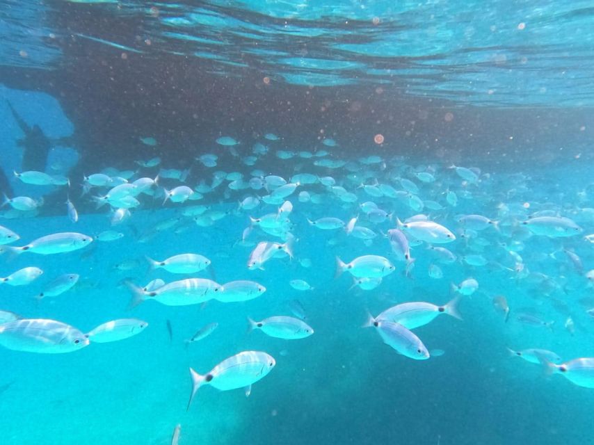 From Lefkimmi: Boat Trip to Sivota & Blue Lagoon - A Balanced Look at the Seven-Hour Rhythm