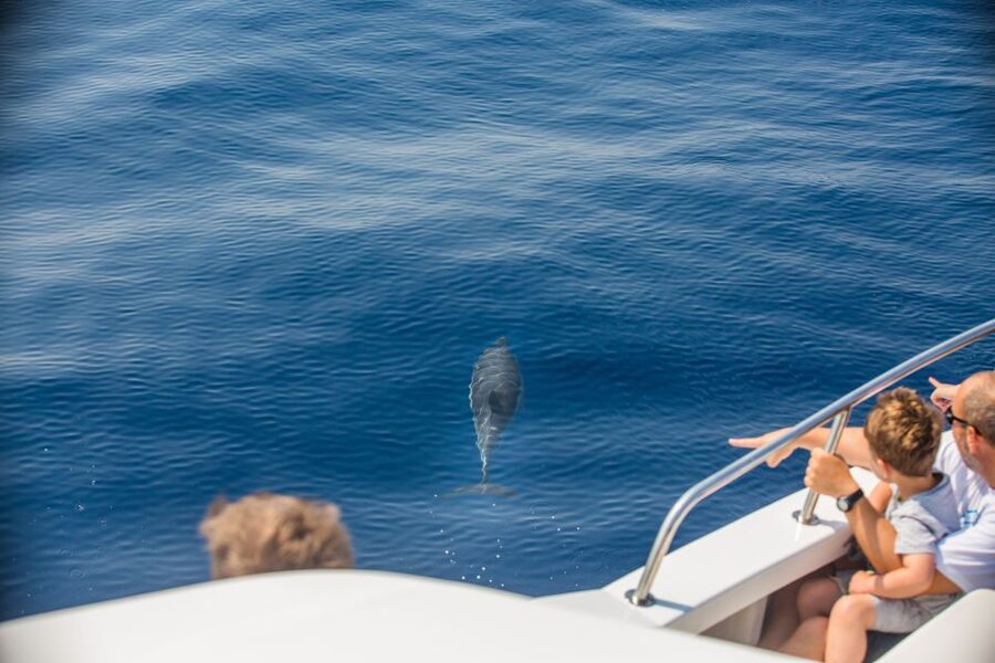 From Lefkimmi: Paxos, Antipaxos & Blue Caves Speedboat Tour - Leaving Lefkimmi early in the morning