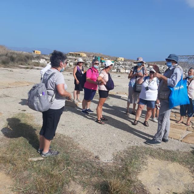 From Mykonos: Ancient Delos Tour - The guides make the difference