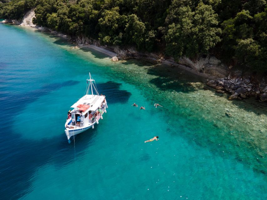 From Nidri: Marine Wildlife Cruise with Lunch and Swim Stops - Should you book the Marine Wildlife Cruise?