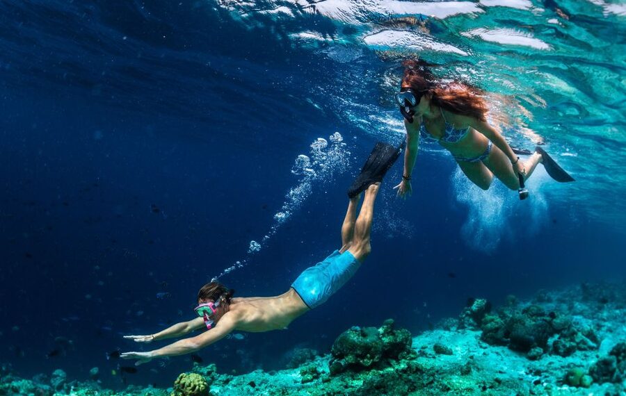 From Nidri: Marine Wildlife Cruise with Lunch and Swim Stops - BBQ lunch, wine, and a slower middle of the day
