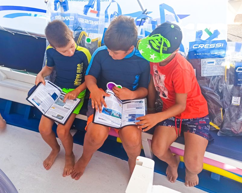 From Nidri: Marine Wildlife Cruise with Lunch and Swim Stops - Practical value, timing, and the small limitations