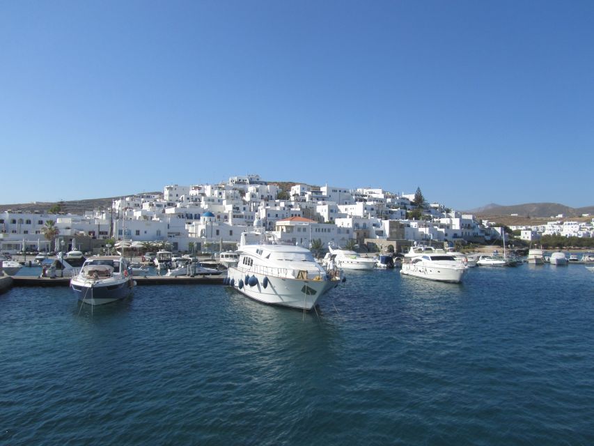 From Paros: Day Trip to Mykonos - The archaeological museum and Delos alternatives