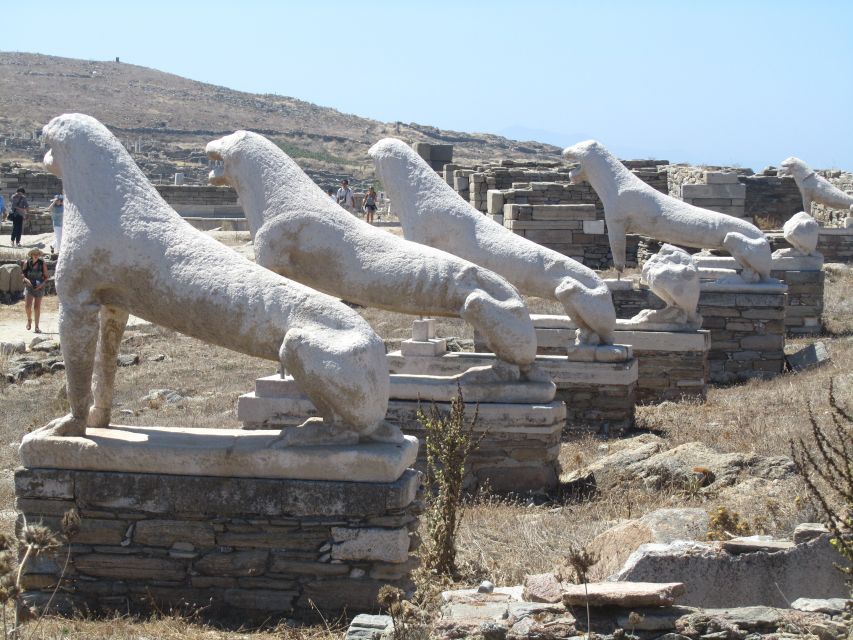 From Paros: Delos and Mykonos Full-Day Boat Trip - Key points to know before booking