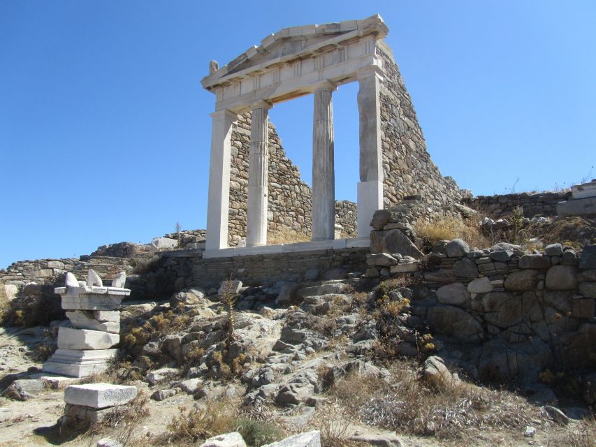 From Paros: Delos and Mykonos Full-Day Boat Trip - Who will enjoy this day most
