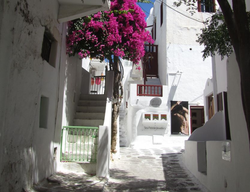 From Paros: Delos and Mykonos Full-Day Boat Trip - Should you book the Delos and Mykonos boat trip?