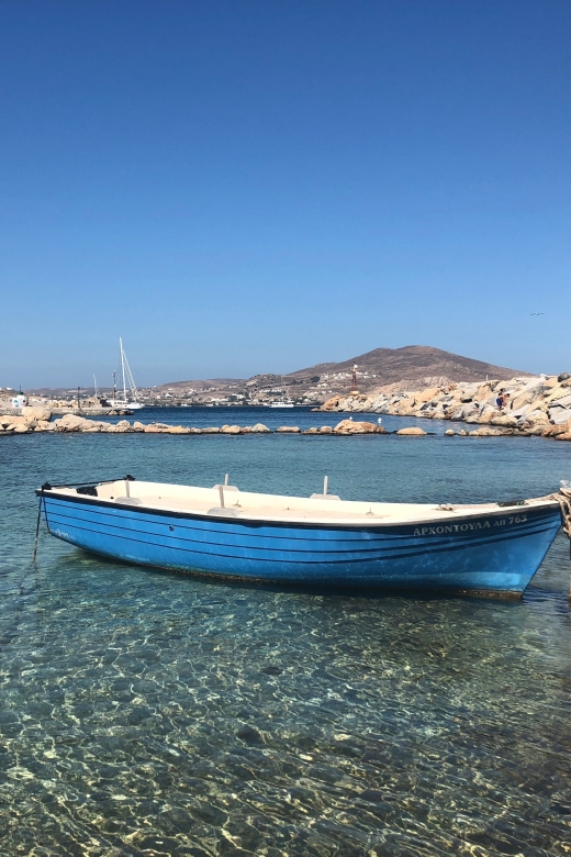 From Paros: Mykonos Full-Day Trip by Catamaran - Practical tips for a smoother day
