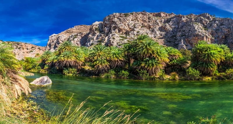 From Rethymno/Chania: Day Trip to Preveli Palm Beach - Key points to know before booking