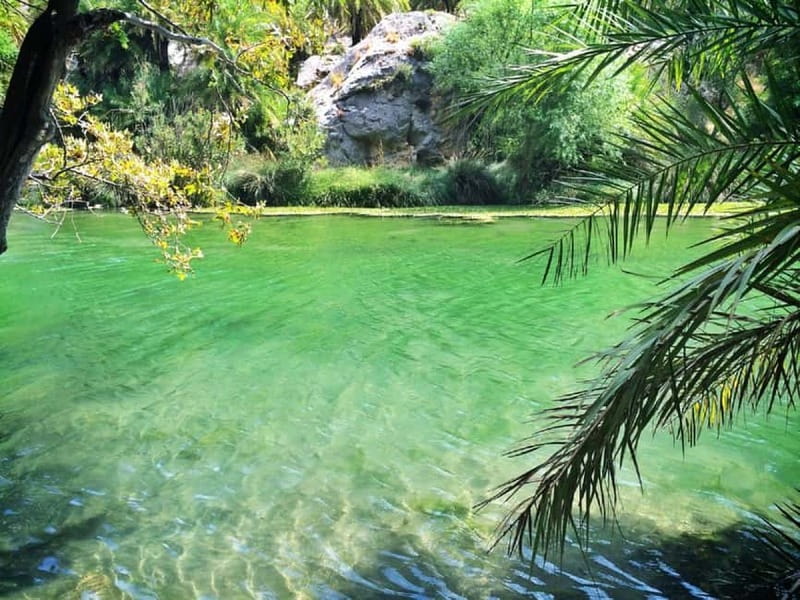 From Rethymno/Chania: Day Trip to Preveli Palm Beach - Kourtaliotiko Gorge and its cold river