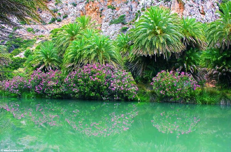 From Rethymno/Chania: Day Trip to Preveli Palm Beach - What the price really includes